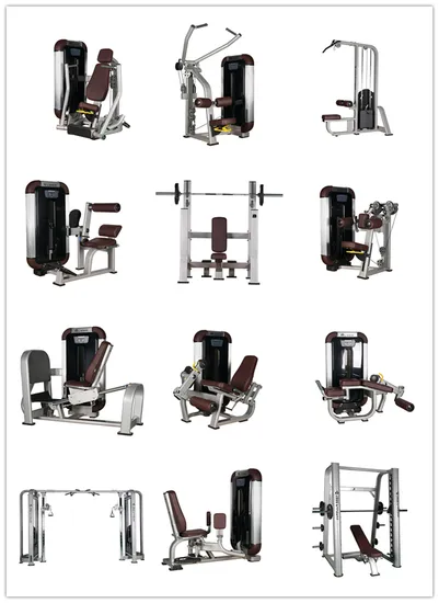 Lmcc 卸売価格 トップセール アームカールベンチ ジム 商業用エクササイズ機器
